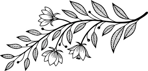 flower and leaves hand drawn