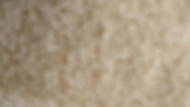 Macro video of korean rice. Close up of korean sushi rice on rotating disk.