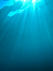 The sun shines through water, casting mottled light and shadow, intertwined with countless bubbles underwater, like a dance of light. Various aquatic, fish swimming in water in Mediterranean sea.