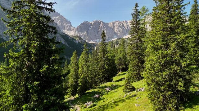 Aerial drone view of hikers on a forest trail in the Alps, heading to Coburger H&uuml;tte near Seebensee and Drachensee on a sunny summer day.