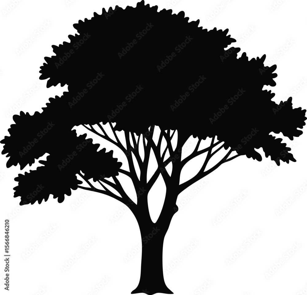 Aufkleber tree silhouette with dense foliage and spreading branches simple black vector design