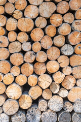 Pile of wood logs as background
