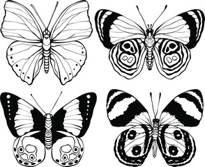High quality hand drawn butterfly illustration set