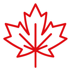 red maple leaf on white background