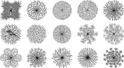  Top view architectural tree and bush symbols for landscape plan designs, CAD drawings, and site layout diagrams, depicting various plant outlines for professional use. © Su Joy Creatives