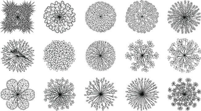  Top view architectural tree and bush symbols for landscape plan designs, CAD drawings, and site layout diagrams, depicting various plant outlines for professional use.