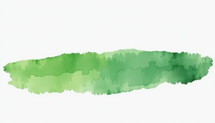 Abstract Green Watercolor Brush Stroke on White Background