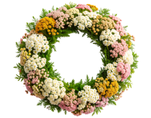  Yarrow Wreath in Soft Garden Style, isolated on a transparent background.