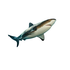 Obraz premium Galapagos Shark AI Generated Image 
