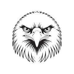 Line art illustration tattoo style of an eagle face