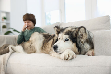 Boy suffering from allergy with her dog on sofa at home, selective focus