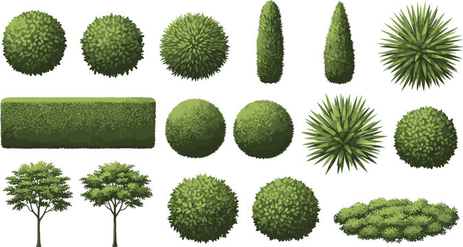 Diverse set of topiary trees, various evergreen shrubs, and garden bush illustrations, perfect for landscape design, architectural plans, and outdoor environment projects.