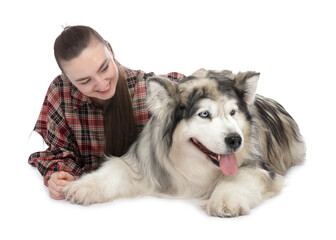 Woman with her beautiful Alaskan malamute dog on white background