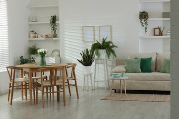 Comfortable sofa, table, chairs and green houseplants indoors. Interior design