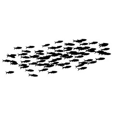 A large school of small fish swimming in unison through the clear ocean water