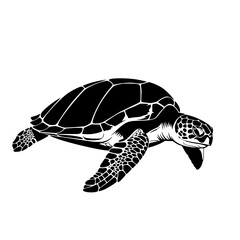 The Ancient Marine Reptile Gliding Through Ocean Waters Gracefully and Effortlessly