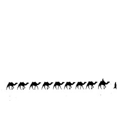 Caravan of camels traveling across a vast desert landscape under the sun's bright glare
