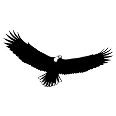 Majestic Bald Eagle Soaring Through the Sky with Wings Spread Wide
