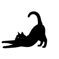 Silhouette of a black cat stretching its body gracefully with a curved tail raised high