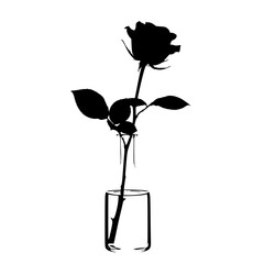 A Single Elegant Black Rose Silhouette in a Clear Glass Bottle with Water