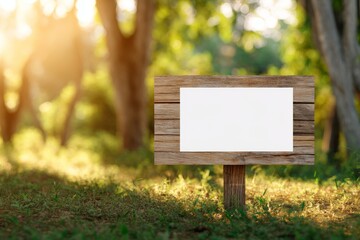 Blank Wooden Sign in a Sunny Forest Setting Perfect for Your Message