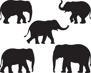 Walking Elephant with Raised Trunk Silhouette

Mother and Baby Elephant Vector Scene

Decorated Indian Elephant Silhouette Design

Elephant in Savannah Vector Art

Elephant Herd Silhouette at Sunset