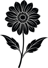 Coreopsis flower with leaf silhouette
