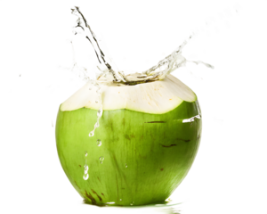  coconut water splashing out of a fresh green coconut  isolated on white background PNG, AI GENERATED