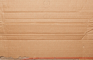 Torn crumpled cardboard is used as a background design element.