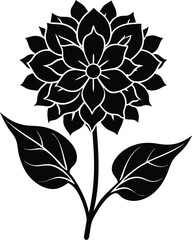 Bouvardia flower silhouette illustration
