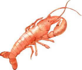 watercolor lobster