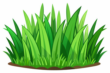Lush Green Grass Blades foliage nature