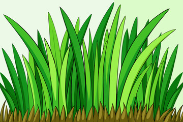 Lush Green Grass Blades foliage nature