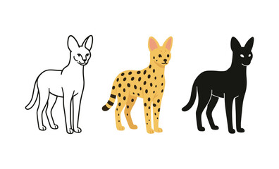 Obraz premium Colorful serval cat illustrations: outline, spotted, silhouette variations for creative design