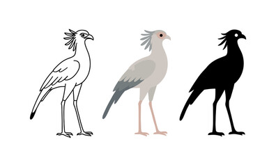Obraz premium Secretary bird design evolution: line art, color, and silhouette stages