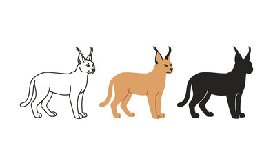 Obraz premium Caracal silhouettes: minimalist outline, full color, shadow variants on white background