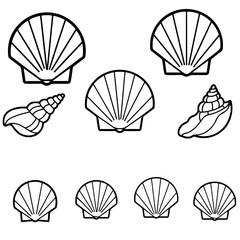 A beautiful collection of isolated seashell design elements for creating custom compositions and branding assets
