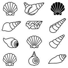 An amazing variety of shell graphics in a single collection, perfect for any designer's asset library