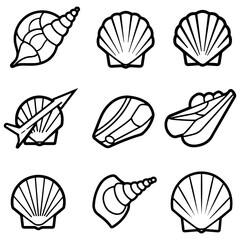 A clean and modern icon set of various shell types, presented in a consistent and stylish black and white vector format
