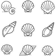 A lovely collection of ocean treasures, featuring a wide variety of scallop, conch, and other beautiful shell designs