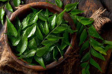 Curry leaves present refreshing appearance in wooden bowl from top down angle