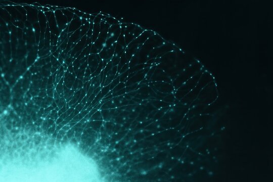 Microscopic view of delicate glowing cell network with fine connections on dark background, illustrating minuscule world beauty, biological structures and intricate organic patterns in teal tones.
