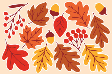 Detailed composition of autumn leaves, acorns and tree branches in warm colors including red, yellow, and brown on beige background
