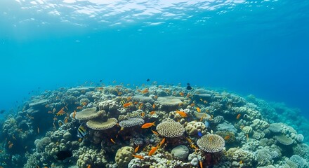 Fototapeta premium Vibrant Coral Reef Ecosystem Underwater Paradise of Colorful Fish and Diverse Marine Life