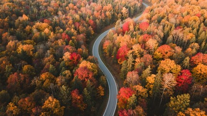 road in the countryside