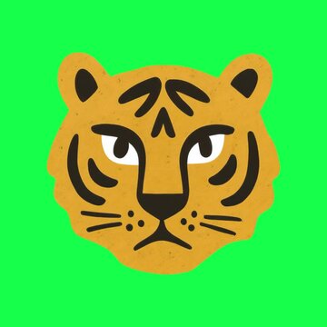 Bold tiger face illustration animation, transparent 4K video, green screen
