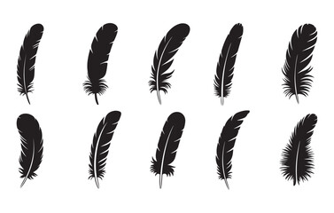 Black feather silhouettes on white background quill plume