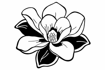 Black and white magnolia flower illustration bloom botanical