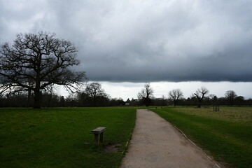 Shugborough, Staffordshire, England - February 24 2024: Dramatic winter landscape with bare trees...
