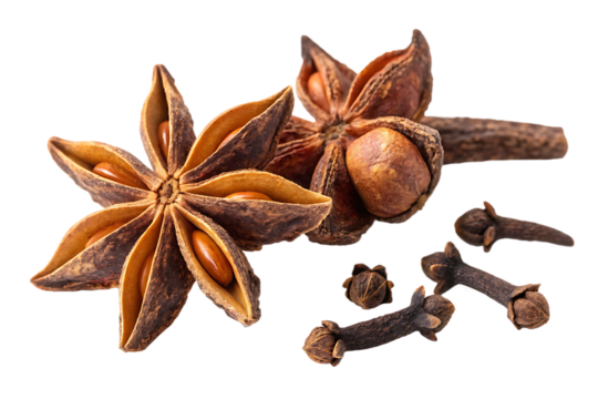 Spice cloves isolated on transparent Generated AI